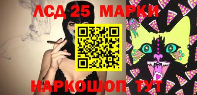МДПВ Партизанск