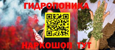 спиды Пугачёв