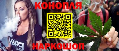 Альфа ПВП Пенза