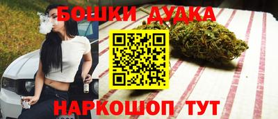 МДПВ Партизанск