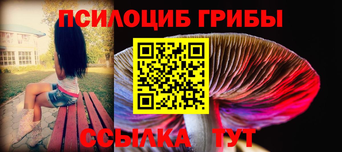 Галлюциногенные грибы мухоморы Соль-Илецк